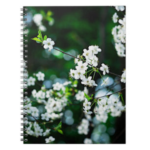 cherry-blossoms-white-01-60v.jpg notitieboek
