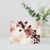 Cherry Blossum, Spring flovers, Natuur Briefkaart (Staand voorkant)