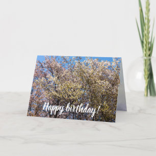 Cherry-bomen in volbloei op een warme dag van de l kaart