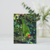 Cherry Headed Conure #1 Briefkaart (Staand voorkant)