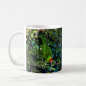 Cherry Headed Conure #1 Mok (Links)