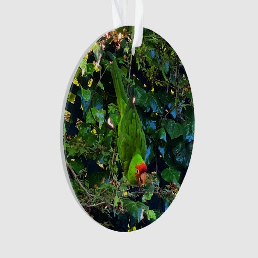 Cherry Headed Conure #1 Ornament (voorkant)