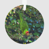 Cherry Headed Conure #1 Ornament (achterkant)