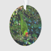 Cherry Headed Conure #1 Ornament (voorkant)