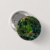 Cherry Headed Conure #1 Pinback Button (Voorkant /achterkant)