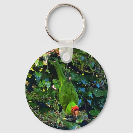 Cherry Headed Conure #1 Sleutelhanger (Voorkant)