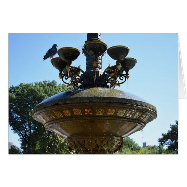 Cherry Hill Fountain Central Park (Voorkant Horizontaal)