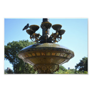 Cherry Hill Fountain Central Park Foto Afdruk