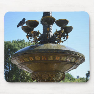 Cherry Hill Fountain Central Park Muismat