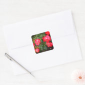 Cherry Parfait Roos #5-1 Sticker (Envelop)