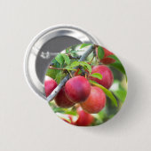 Cherry plum on tak ronde button 5,7 cm (Voorkant /achterkant)