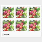 Cherry plum on tak vierkante sticker (Vel)