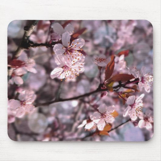 Cherry Plum Tree Roze Muismat (Voorkant)