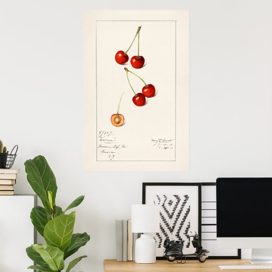 Cherry Poster (Thuiskantoor)