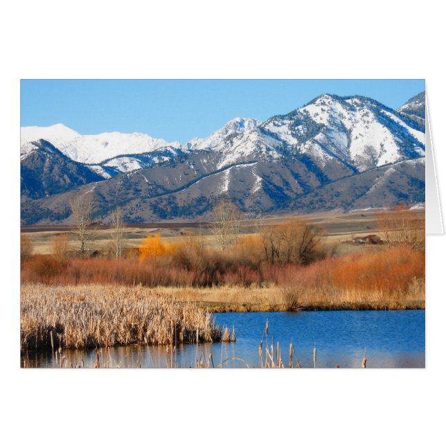 Cherry River van Cynthia Wenslow (Voorkant Horizontaal)