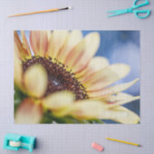 Cherry Roos Sunflower Tissuepapier (Craft)