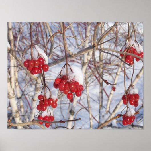 Cherry Snow Cones Poster (Voorkant)