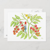 Cherry Tomato Gnome briefkaart (Voorkant / Achterkant)