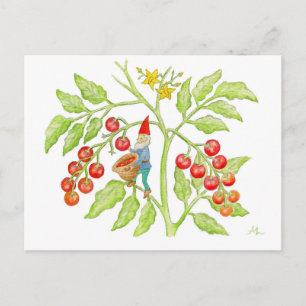 Cherry Tomato Gnome briefkaart