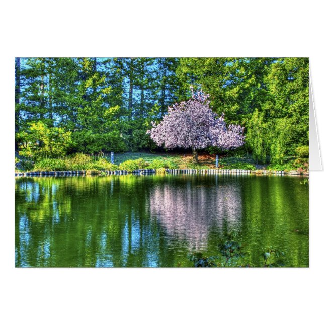 Cherry Tree (Voorkant Horizontaal)