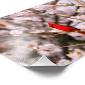 Cherry Tree Bird Foto Afdruk (Hoek)