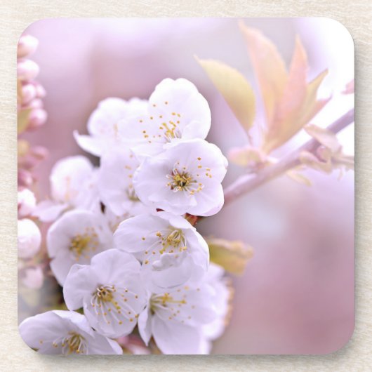 Cherry Tree Blossom Onderzetter (Voorkant)