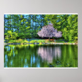 Cherry Tree Blossom Poster (Voorkant)