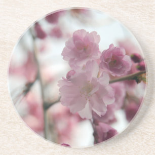 Cherry Tree Blossom Zandsteen Onderzetter