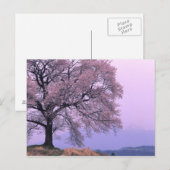Cherry Tree Briefkaart (Voorkant / Achterkant)
