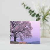 Cherry Tree Briefkaart (Staand voorkant)