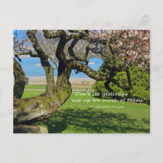 Cherry Tree Cherokee Proverb Briefkaart