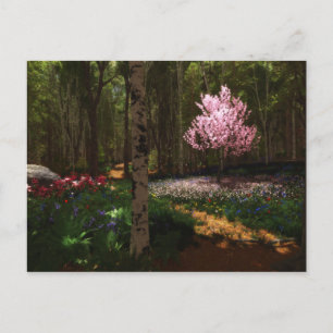 Cherry Tree Concerto Briefkaart