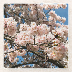 Cherry Tree in Bloom, Oregon Glazen Onderzetter