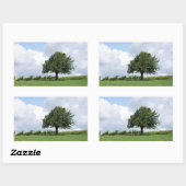 Cherry Tree in Summer Rechthoekige Sticker (Vel)