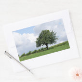 Cherry Tree in Summer Rechthoekige Sticker (Envelop)