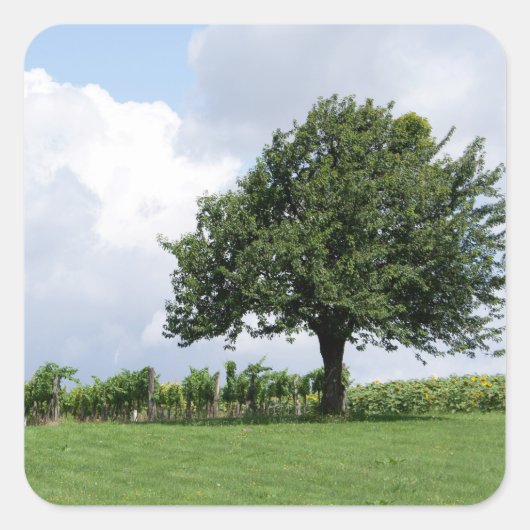 Cherry Tree in Summer Vierkante Sticker (Voorkant)