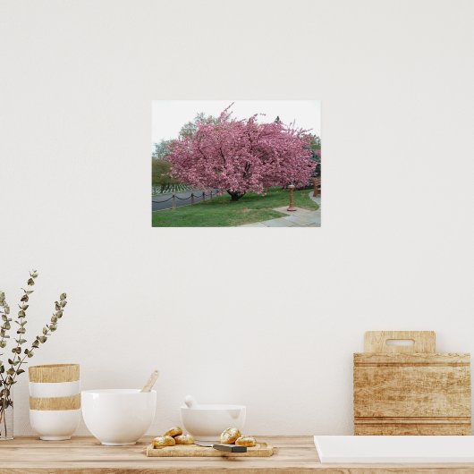 Cherry Tree Poster (Keuken)
