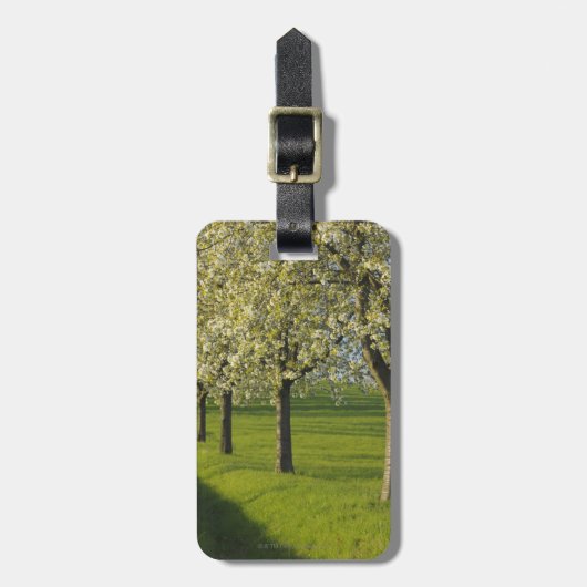 Cherry Trees Bagagelabel (Voorkant verticaal)