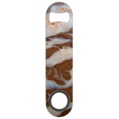 Chert avec veines quartz (Devant)