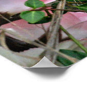 Cherub in de gras poster (Hoek)