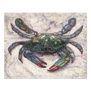 Chesapeake Bay Blue Crab Foto afdrukken Afdruk