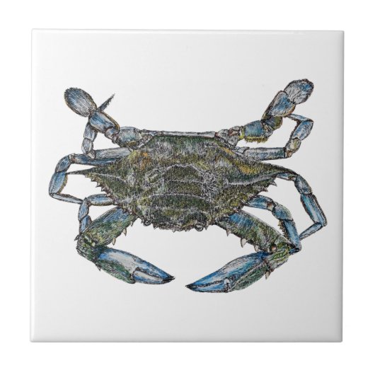 Chesapeake Bay Blue Crab Tegeltje (Voorkant)