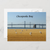 Chesapeake Bay Bridge Briefkaart (Voorkant / Achterkant)