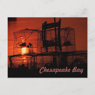 Chesapeake Bay Briefkaart