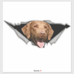 Chesapeake Bay-herstelplaat, Dog Sticker
