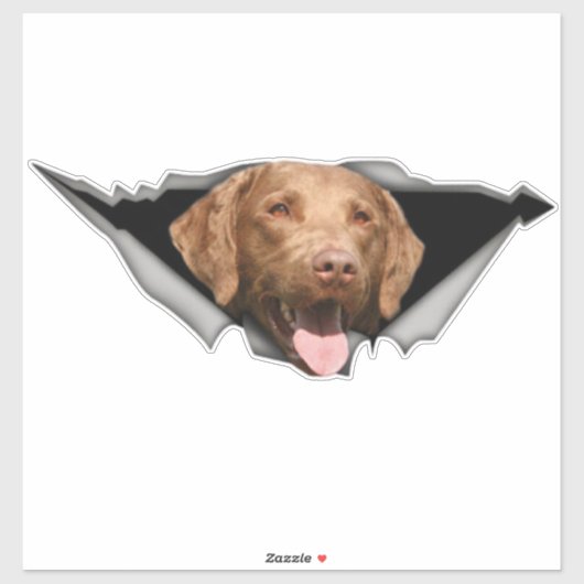Chesapeake Bay-herstelplaat, Dog Sticker (Vel)