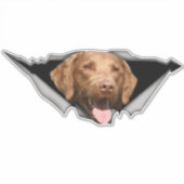 Chesapeake Bay-herstelplaat, Dog Sticker (Voorkant)