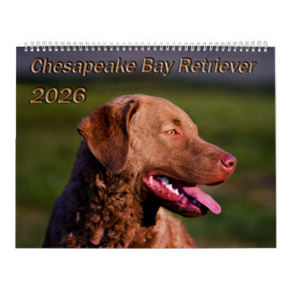 Chesapeake Bay Retriever 2026 Agenda Kalender