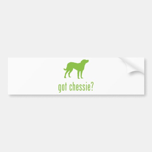 Chesapeake Bay Retriever Bumpersticker (Voorkant)