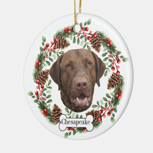 Chesapeake Bay Retriever Gepersonaliseerd Ornament (Links)